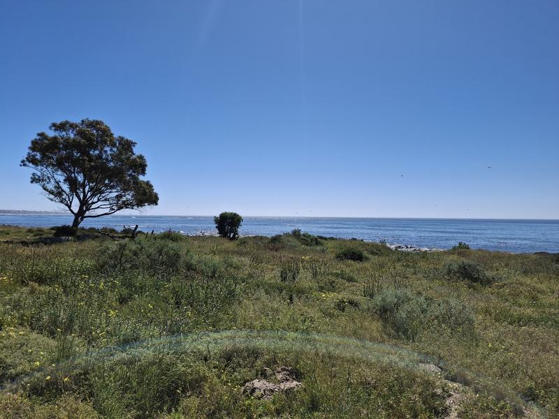 0 Bedroom Property for Sale in Sandy Point Western Cape